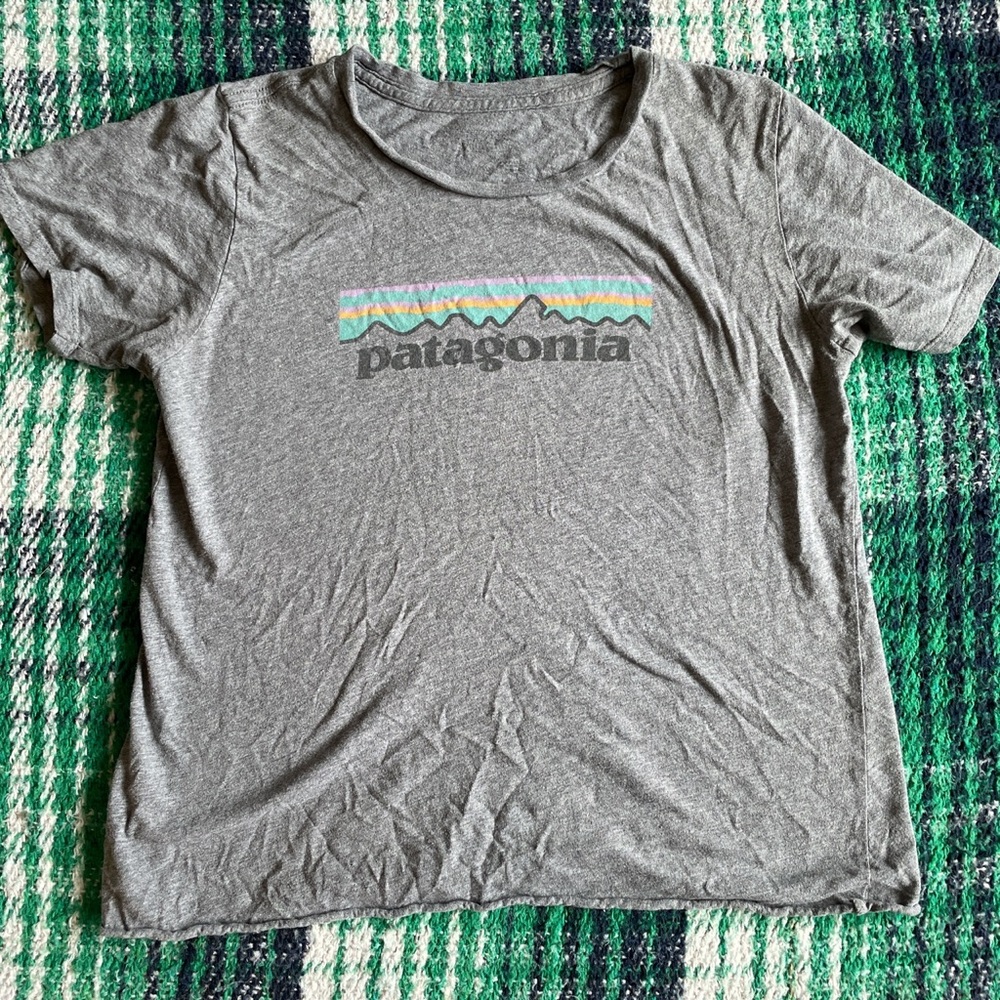 Grey Patagonia T-Shirt